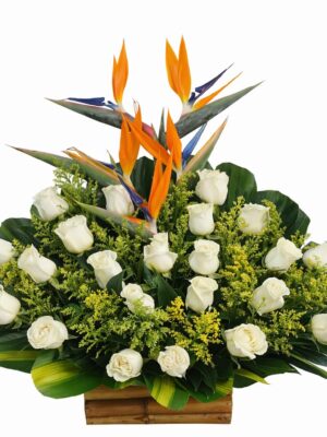 Abanico de Rosas Blancas Cali - Floristería Florecer