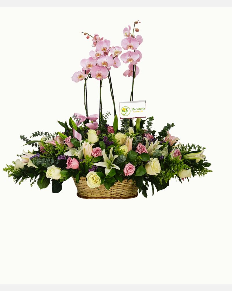 Arreglo Fúnebre con Orquídeas de Lujo Cali - Floristería Florecer