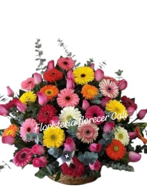 Canasta Primavera Cali - Floristería Florecer